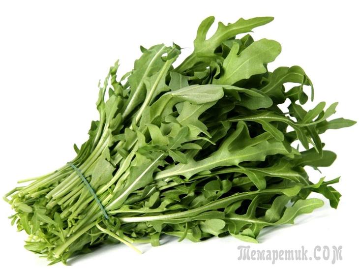 Чим обробити руколу від шкідників